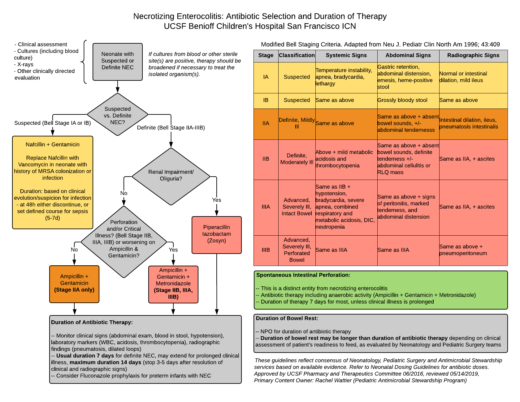 Necrotizing Enterocolitis: Antibiotic Selection & Duration Of Therapy ...